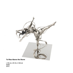 To-Rise-Above-the-Storm